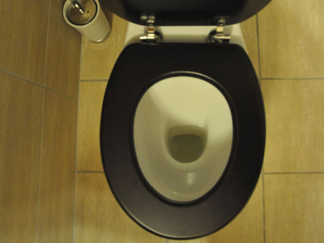 This toilet is an illustration of the event horizon, or point of no return, grains are crossing. Once below, they may never be seen again. (Photo by Emma Wallace, CC BY-SA 2.0)